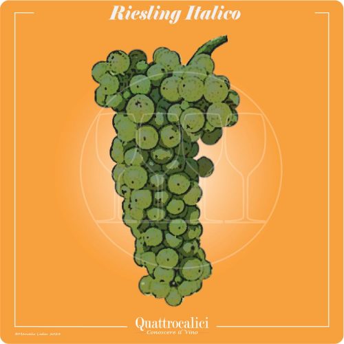 Vitigno  Riesling Italico