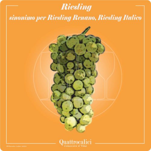 Vitigno  Riesling