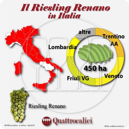 Il riesling renano in Italia