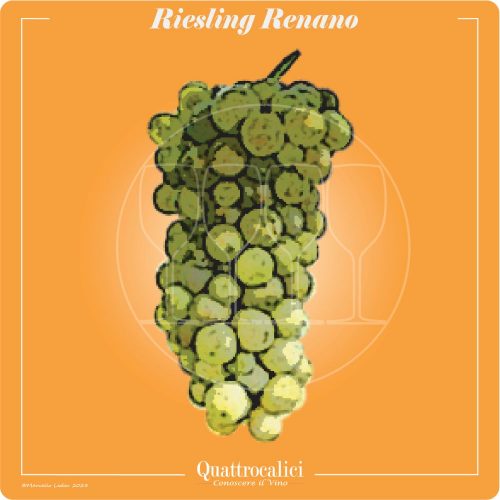 Vitigno  Riesling Renano