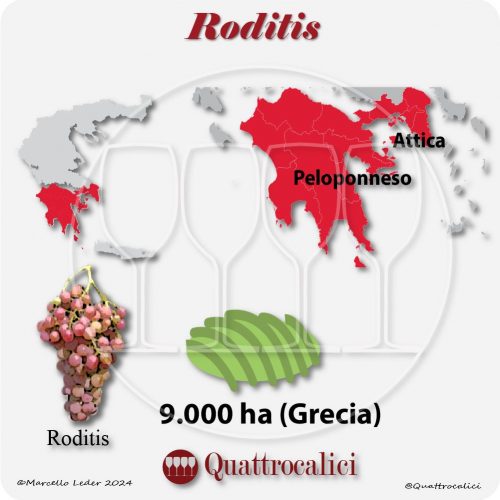 Il vitigno Roditis in Grecia