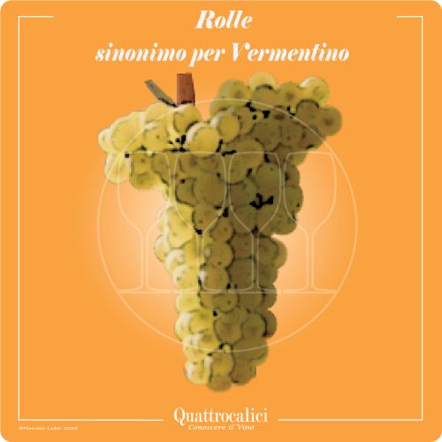 Rolle è il sinonimo usato in Francia per il Vermentino