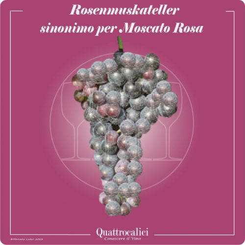 Vitigno  Rosenmuskateller