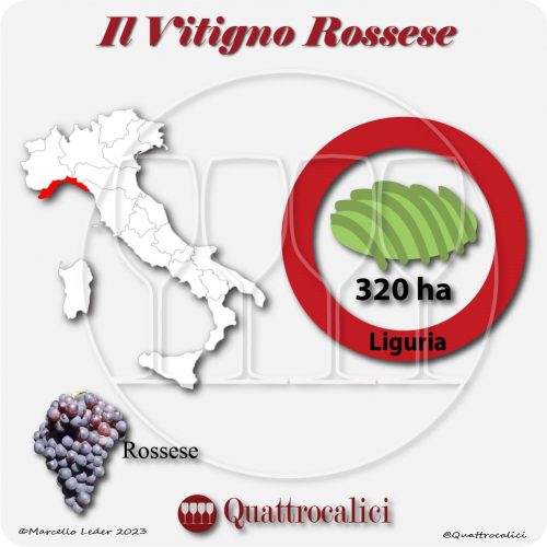Il Vitigno Rossese e la sua coltivazione in Italia