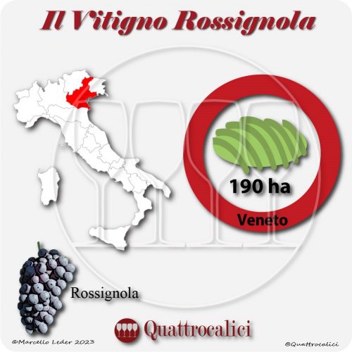 Il Vitigno Rossignola e la sua coltivazione in Italia