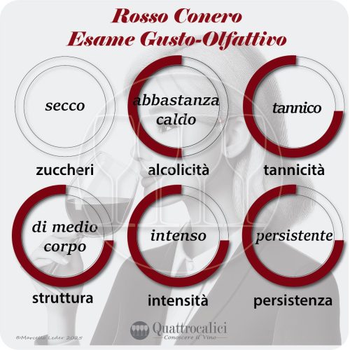 L'esame gusto-olfattivo dei vini Rosso Conero
