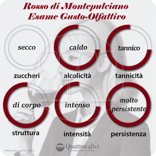 L'esame gusto-olfattivo del Rosso di Montepulciano