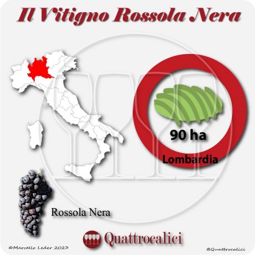Il Vitigno Rossola nera e la sua coltivazione in Italia