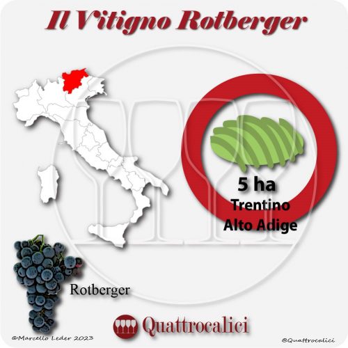 Il vitigno rotberger in Italia