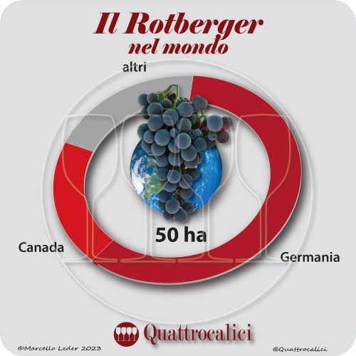 Il vitigno Rotberger nel mondo