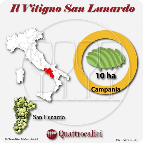 Il Vitigno S.Lunardo e la sua coltivazione in Italia