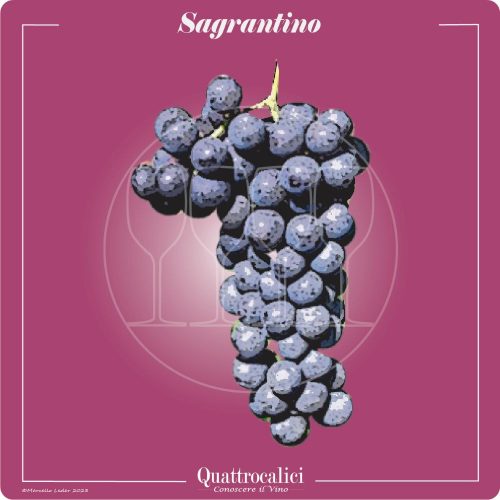 Vitigno  Sagrantino