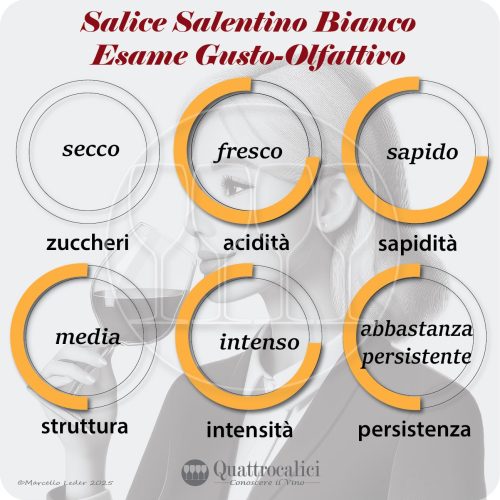 L'esame gusto-olfattivo del Salice Salentino Bianco