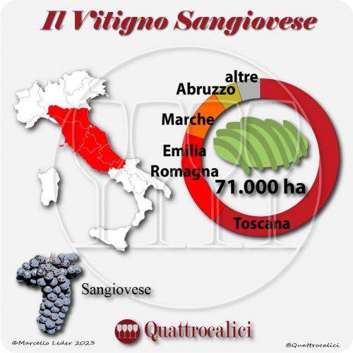 Il Vitigno Sangiovese e la sua coltivazione in Italia