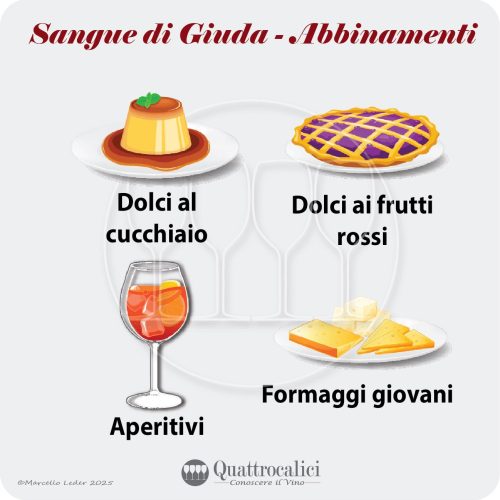 Gli abbinamenti al cibo del vino Sangue di Giuda