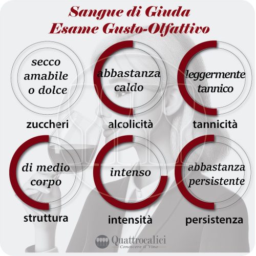 L'esame gusto--olfattivo del vino Sangue di Giuda