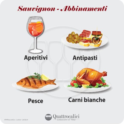 L'abbinamento al cibo dei vini Sauvignon