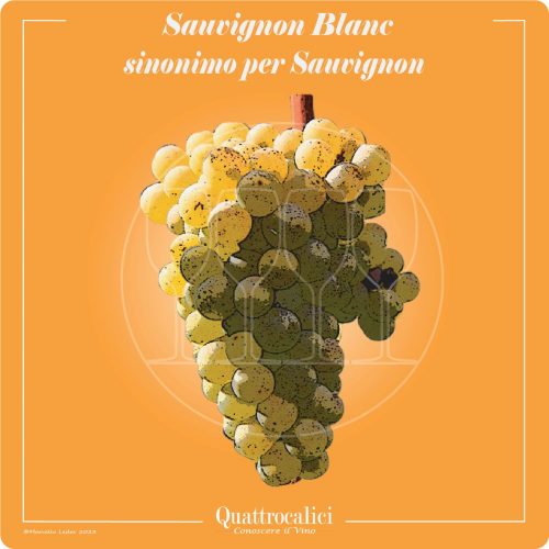 Vitigno  Sauvignon blanc