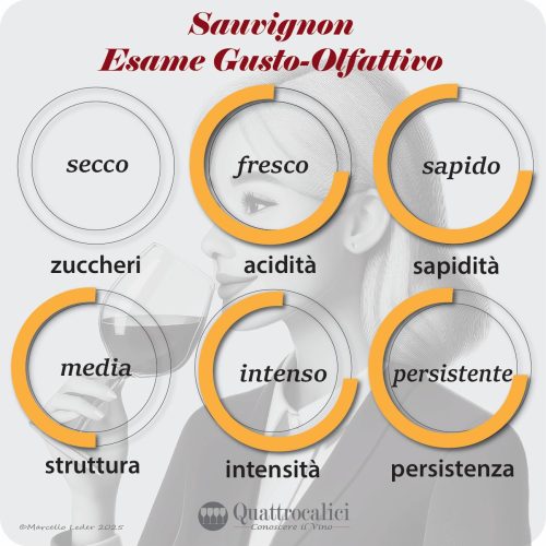 L'esame gusto-olfattivo dei vini Sauvignon