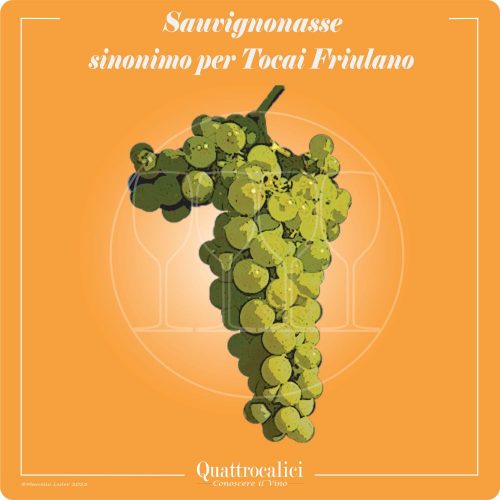Vitigno  Sauvignonasse