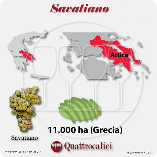 Il vitigno Savatiano in Grecia