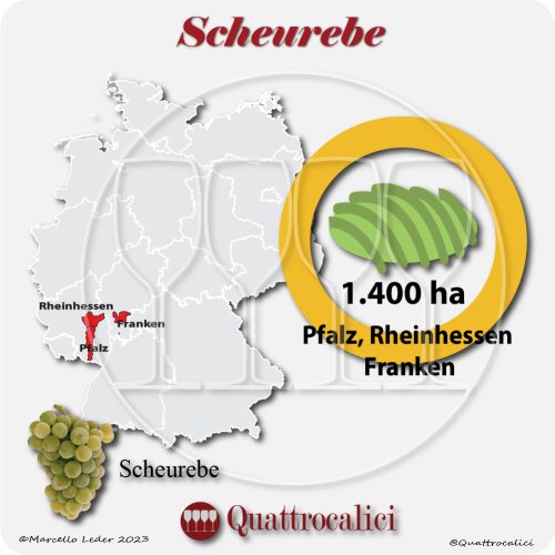 il vitigno Scheurebe in Germania