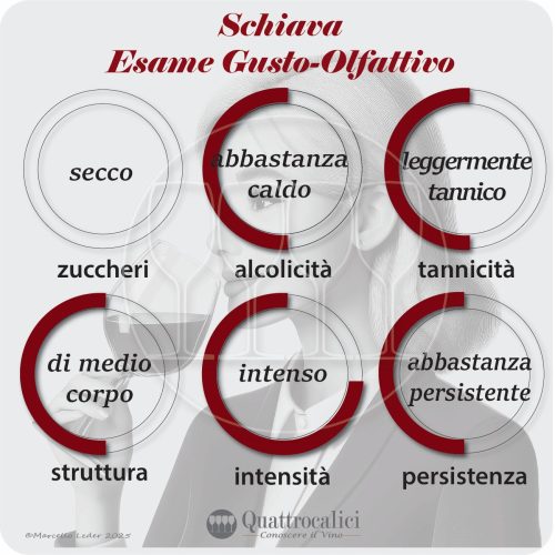 L'esame gusto-olfattivo dei vini Schiava