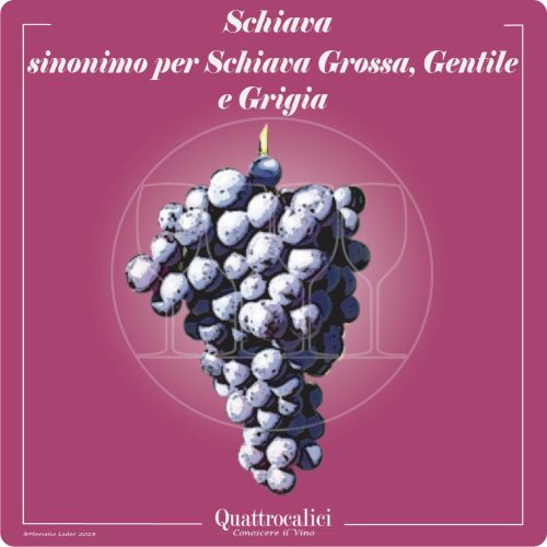 Vitigno  Schiava