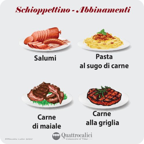 Gli abbinamenti al cibo dei vini Schioppettino