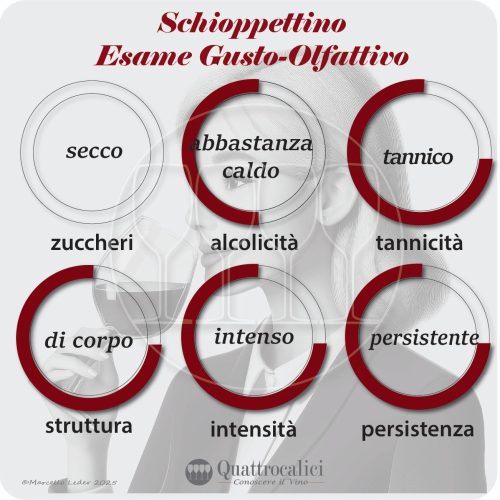L'esame gusto-olfattivo dei vini Schioppettino