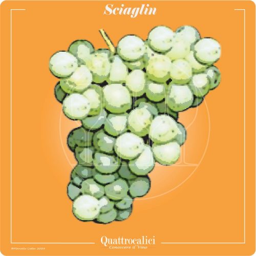 Vitigno  Sciaglin