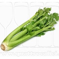 Sedano Bianco di Sperlonga IGP