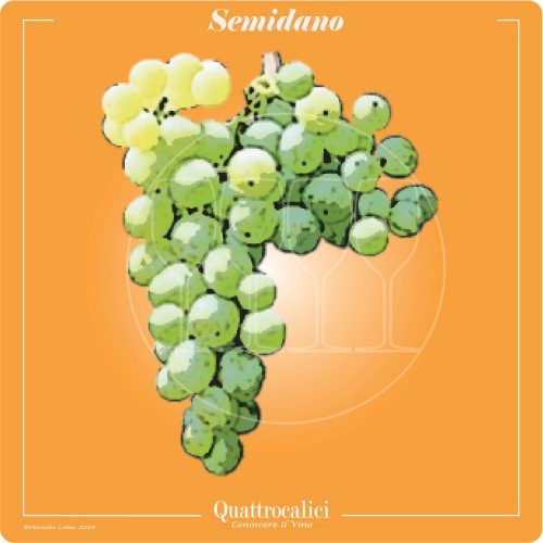 Vitigno  Semidano