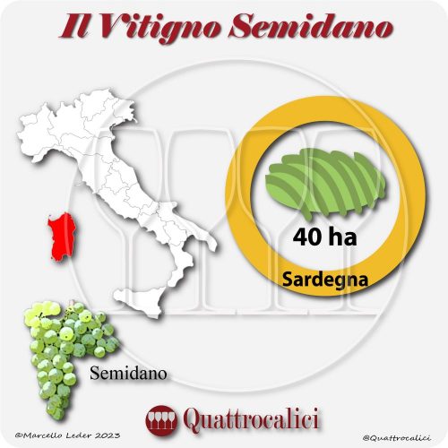 Il Vitigno Semidano e la sua coltivazione in Italia