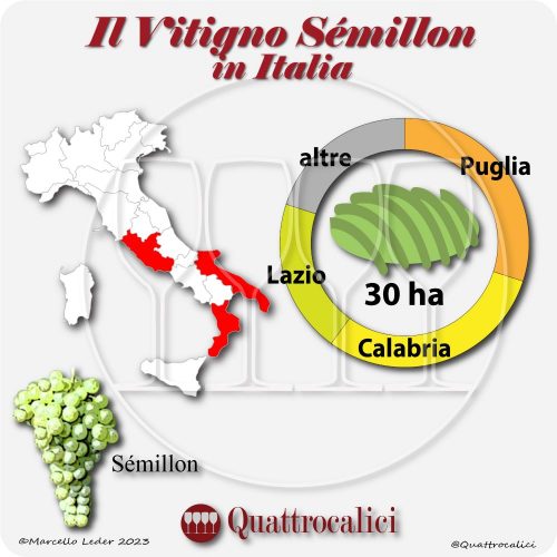 Il semillon in Italia