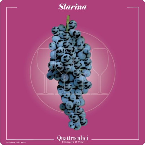 il vitigno slarina