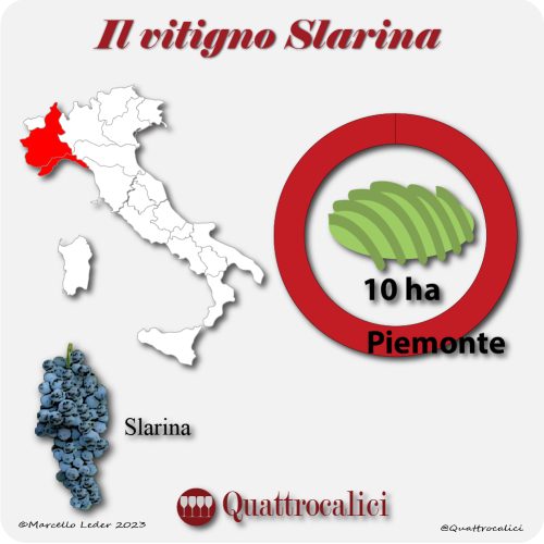 il vitigno Slarina in Italia
