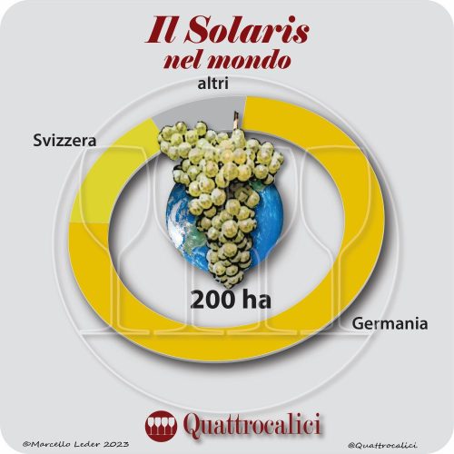 Il vitigno solaris nel mondo
