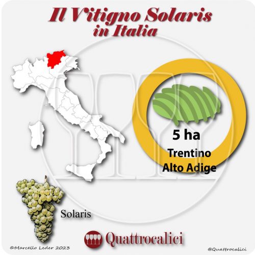 Il vitigno solaris in Italia