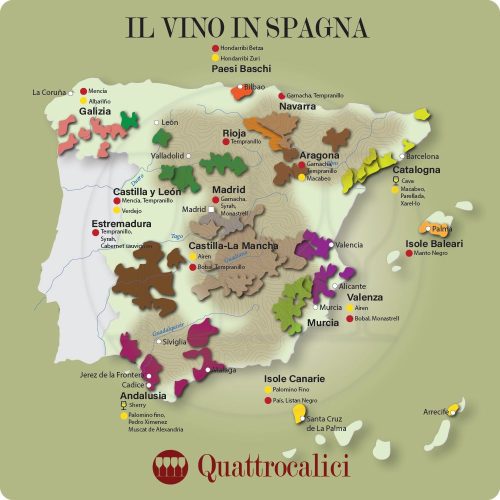 la spagna e i suoi vini