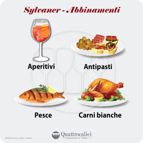 Gli abbinamenti al cibo dei vini Sylvaner