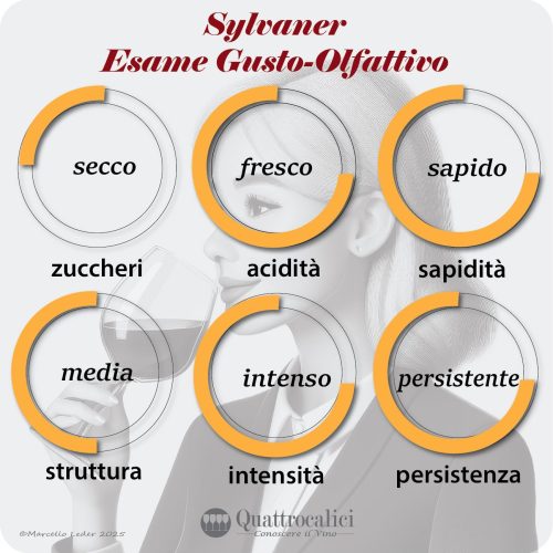L'esame gusto-olfattivo dei vini Sylvaner