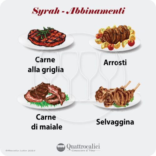 Gli abbinamenti al cibo dei vini Syrah