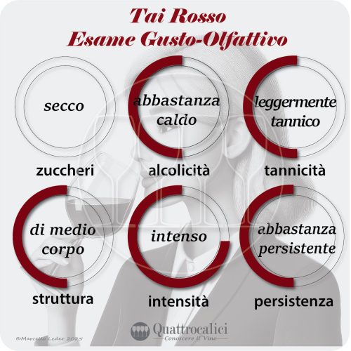 L'esame gusto-olfattivo dei vini Tai Rosso