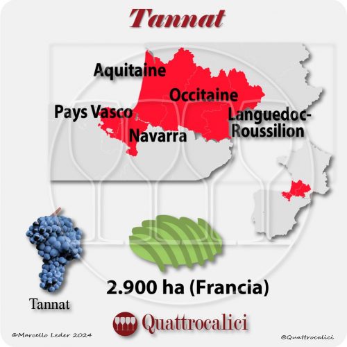 Il vitigno Tannat in Francia