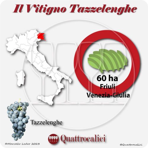 Il Vitigno Tazzelenghe e la sua coltivazione in Italia