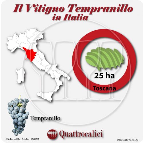 Il tempranillo in Italia