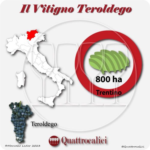Il Vitigno Teroldego e la sua coltivazione in Italia