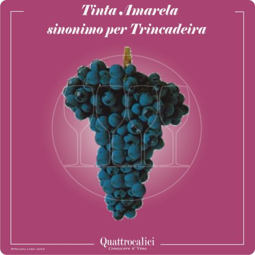 il vitigno tinta amarela