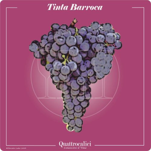Vitigno  Tinta Barroca
